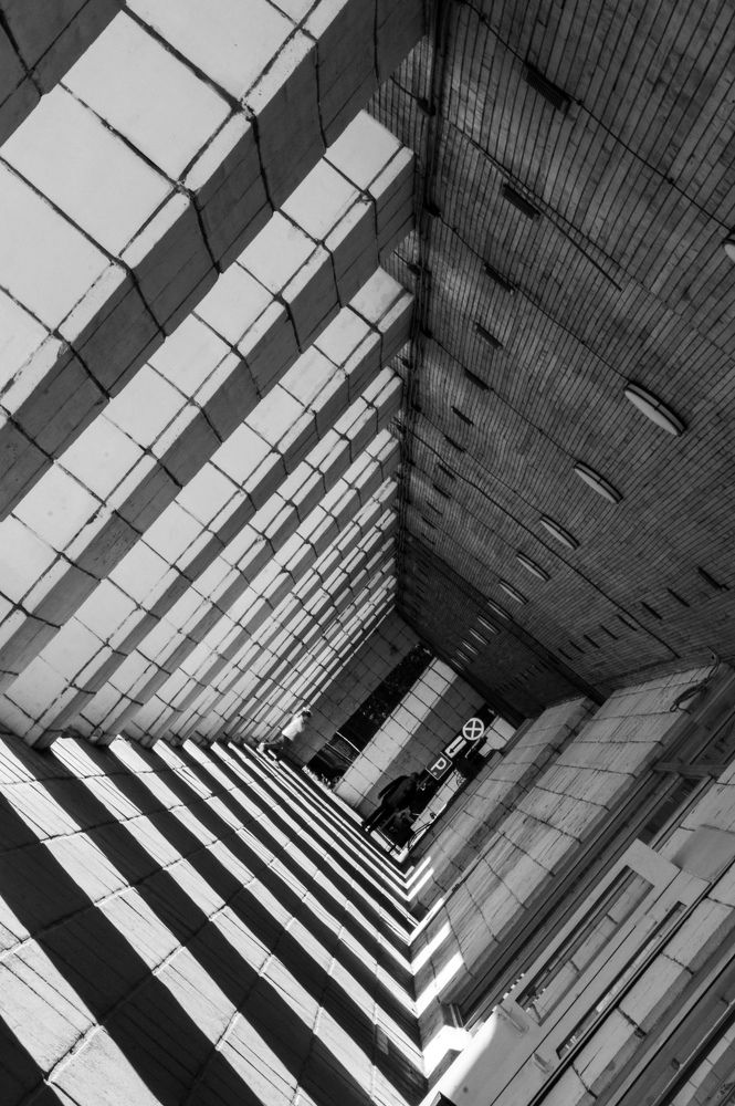 Фотография автора Евгений Шубин