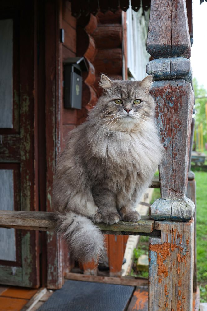 Photograph by Наталья Сафронова