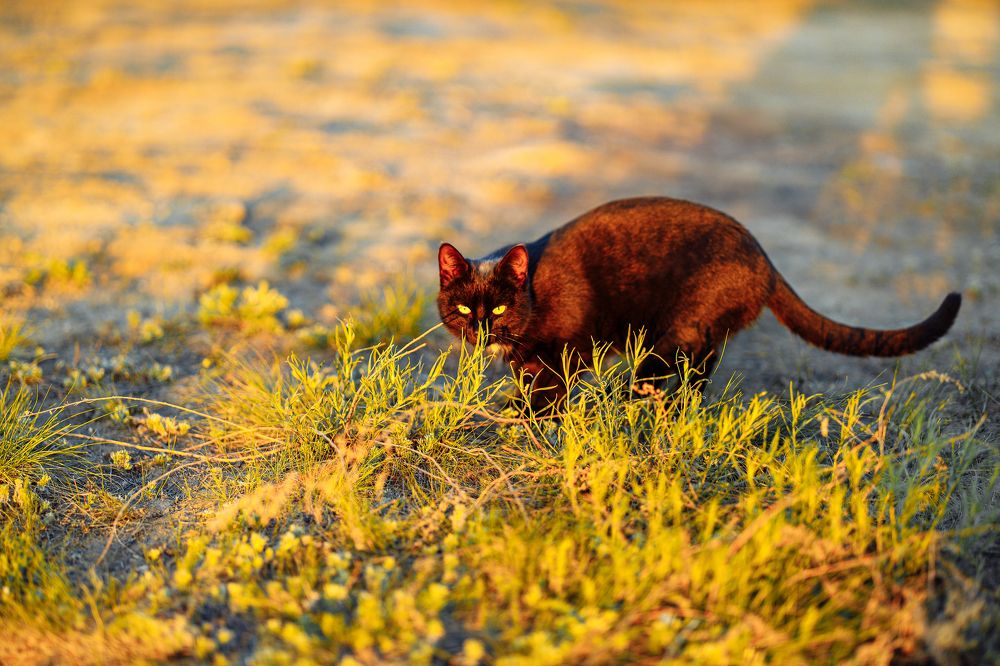 Photograph by Дмитрий Бровко