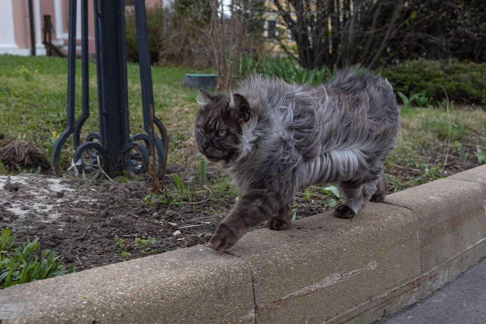 Photograph by Наталья Сафронова