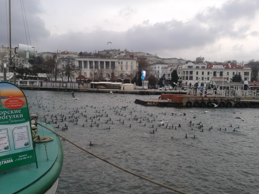 Photo #10804548