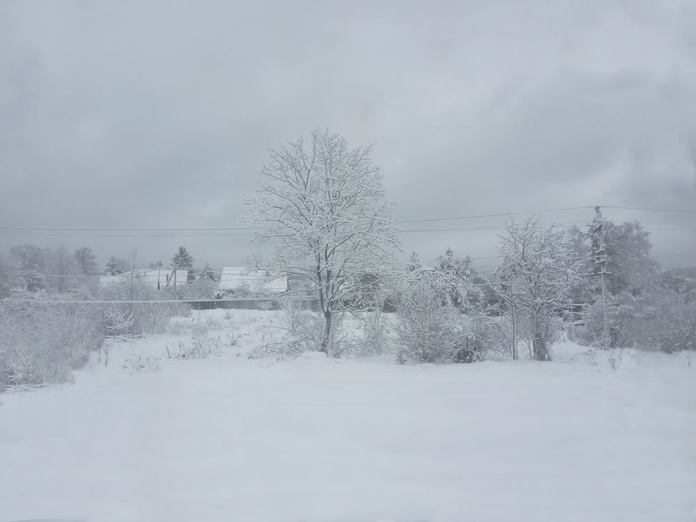 Фотография автора Мария Рохмистрова