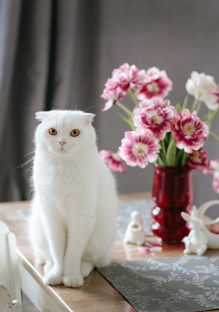 Photograph by Гаврильцова Светлана