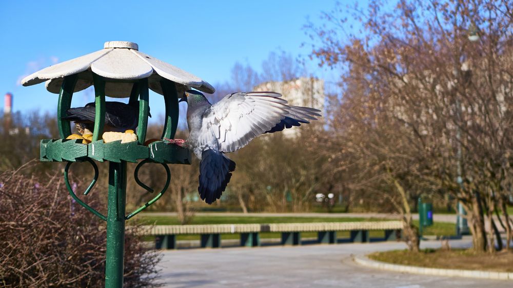 Photograph by Руслан Ибрагимов