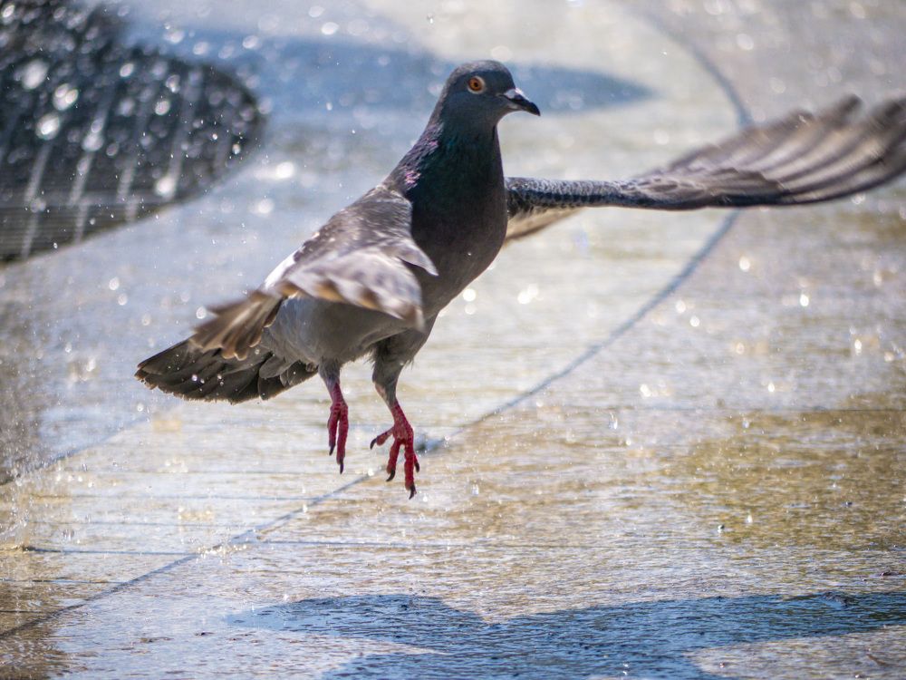 Photograph by Руслан Ибрагимов