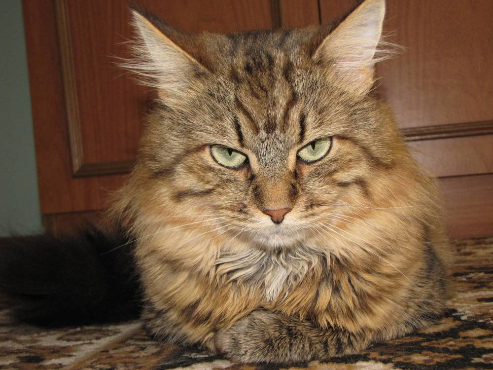 Photograph by Александра Ворона