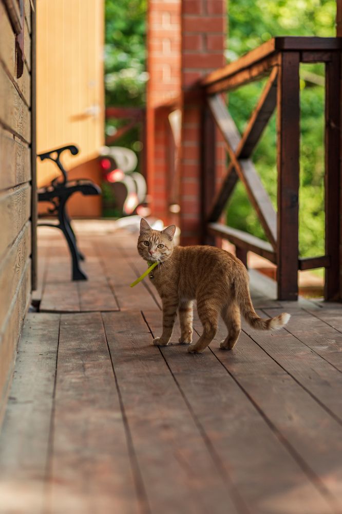 Photograph by Алексей Чеботарев