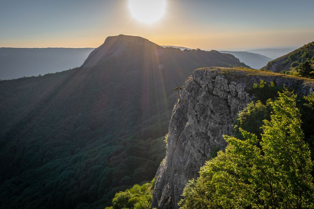 Photograph by Alex Kov