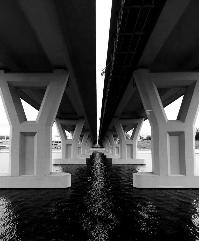 Photo #10804610