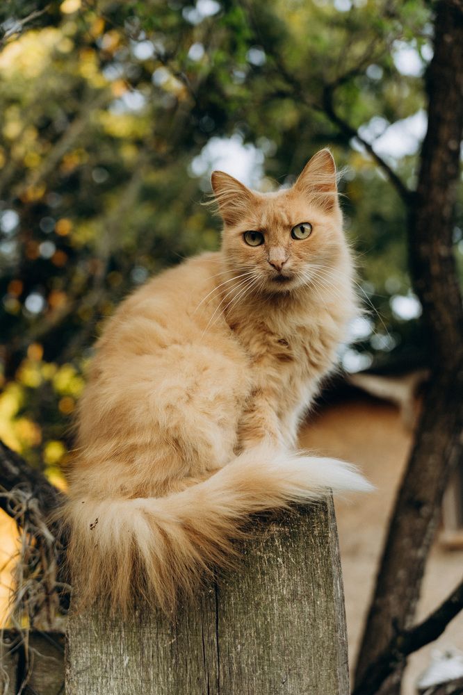 Photograph by Елена Подшевалова