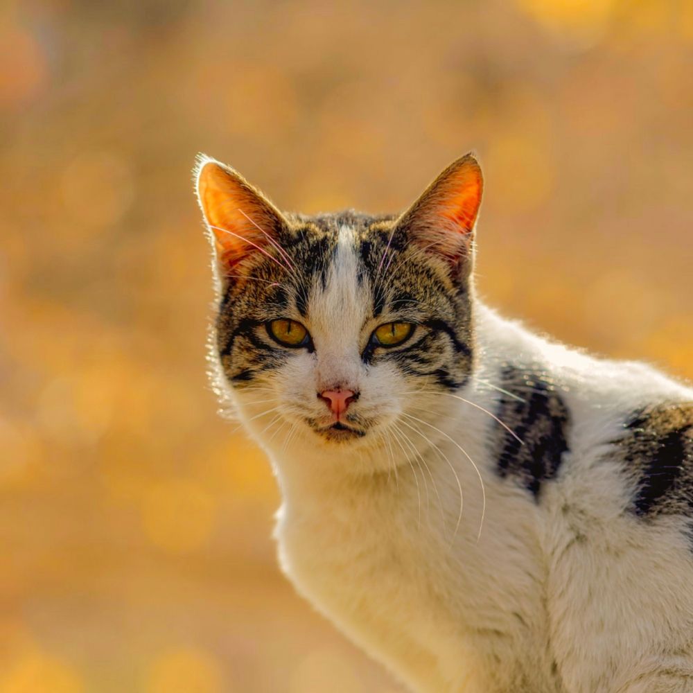 Photograph by Hamid Ahadi