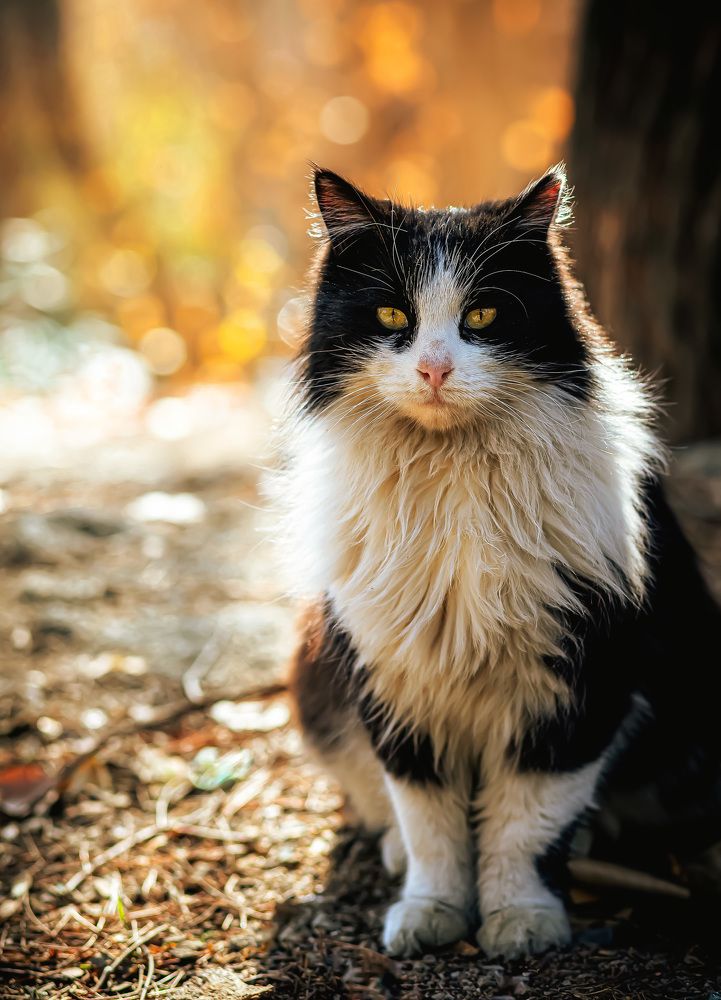 Photograph by Hamid Ahadi