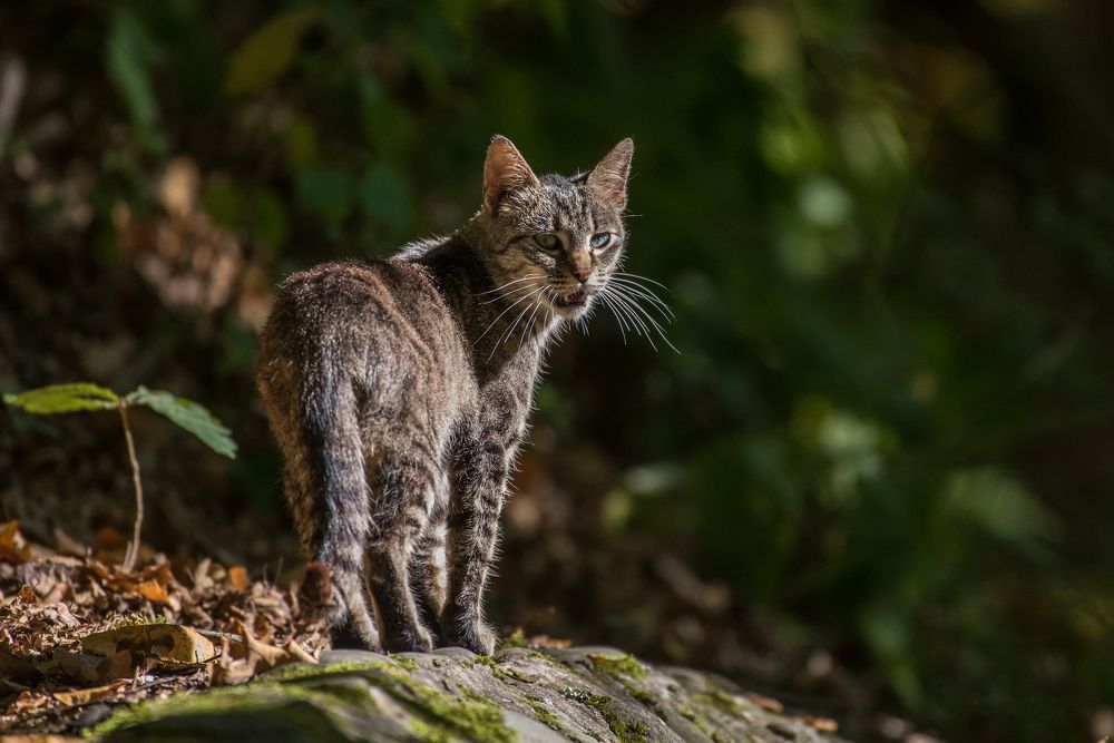 Photograph by levi bagy