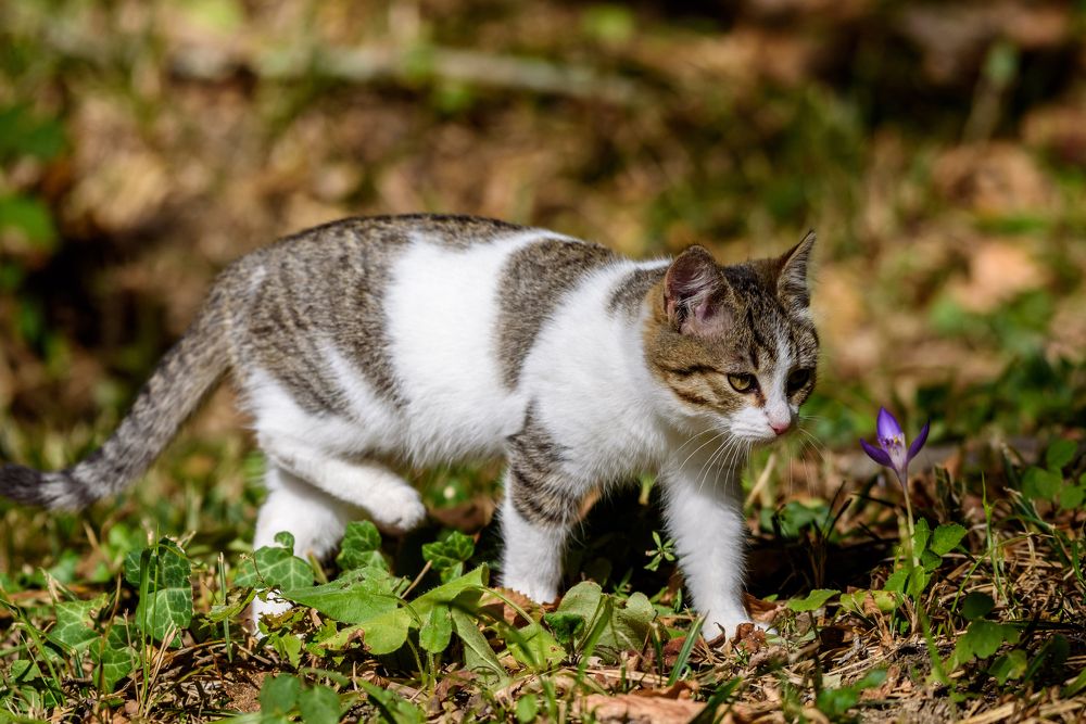 Photograph by levi bagy