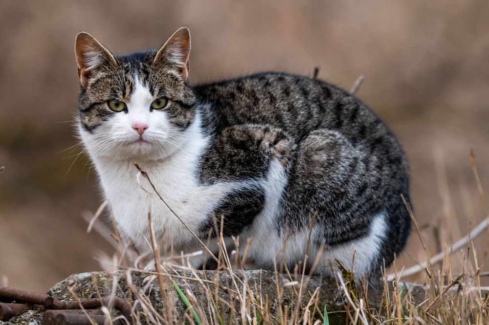 Photograph by levi bagy