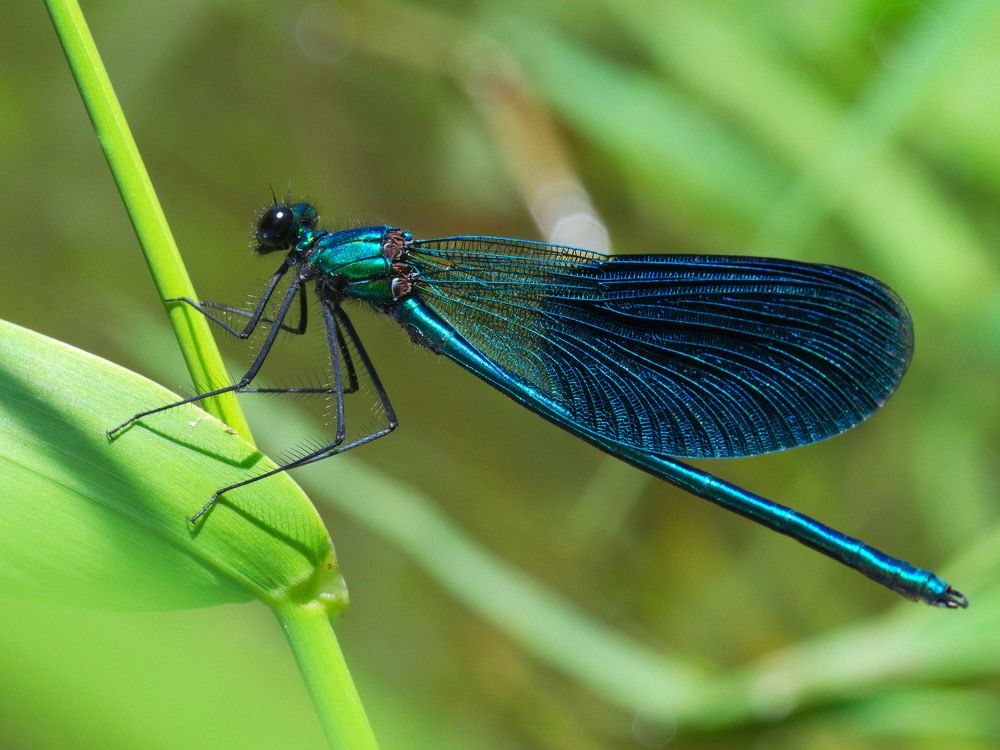 Photograph by Алексей Поляков