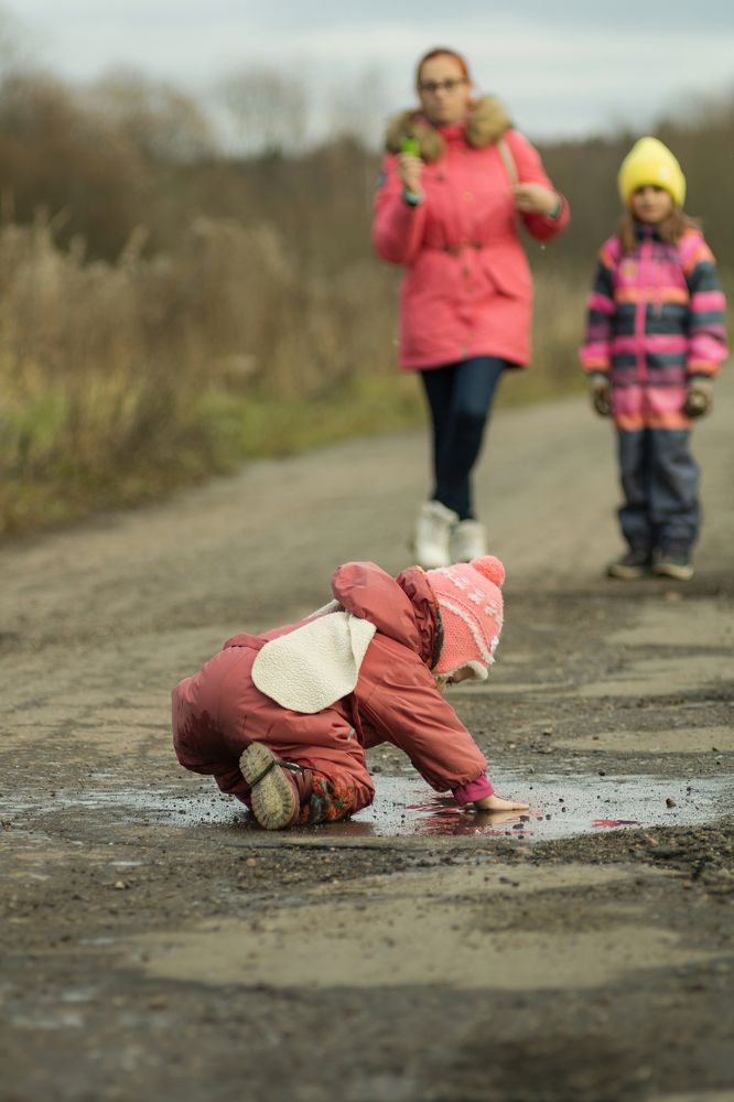 Photograph by Алексей Чеботарев