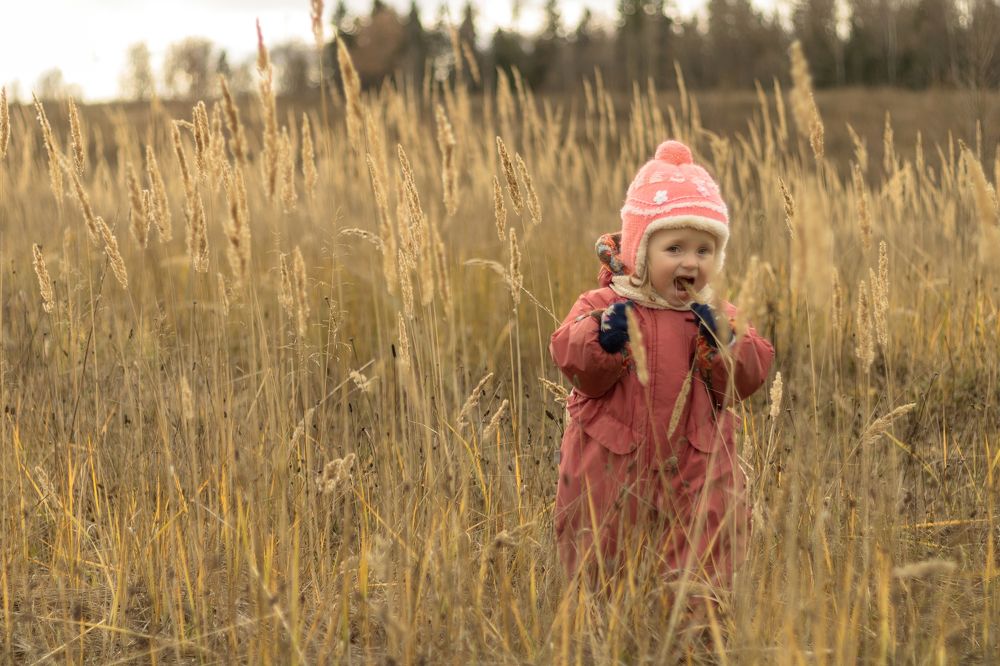 Photograph by Алексей Чеботарев