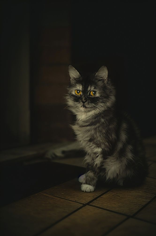 Photograph by Kareem Abo el magd