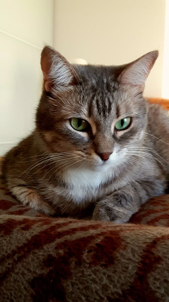 Photograph by Irina Ebral