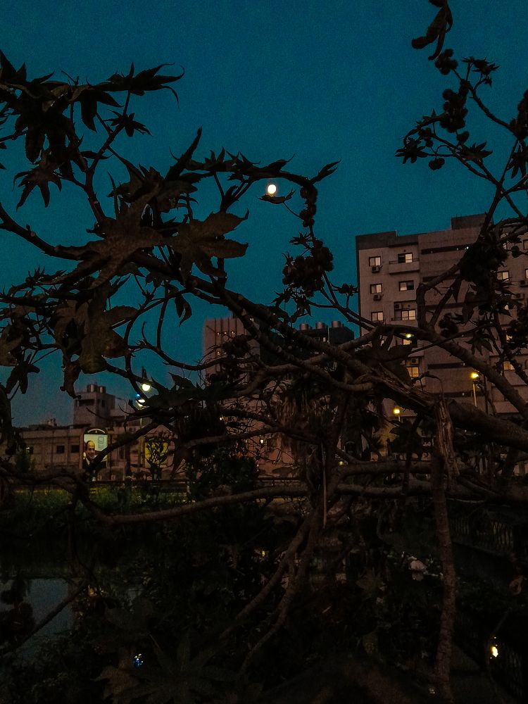 Photograph by Kareem Abo el magd