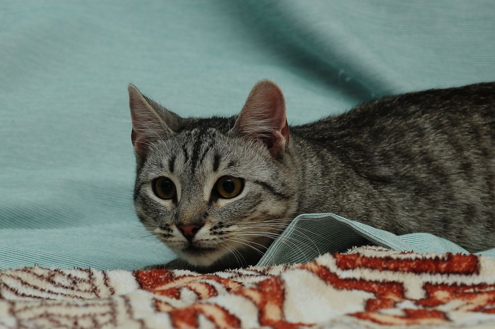 Фотография автора Геннадий Титов