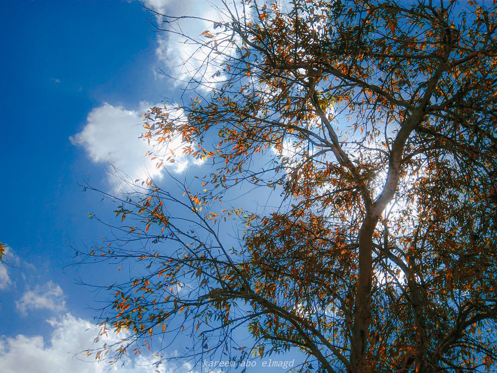 Photograph by Kareem Abo el magd