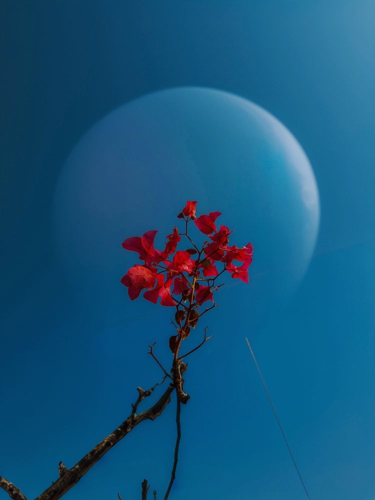 Photograph by Kareem Abo el magd