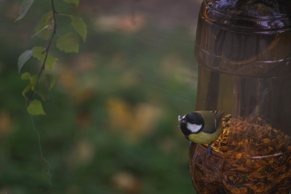 Photograph by Александр Ходакин