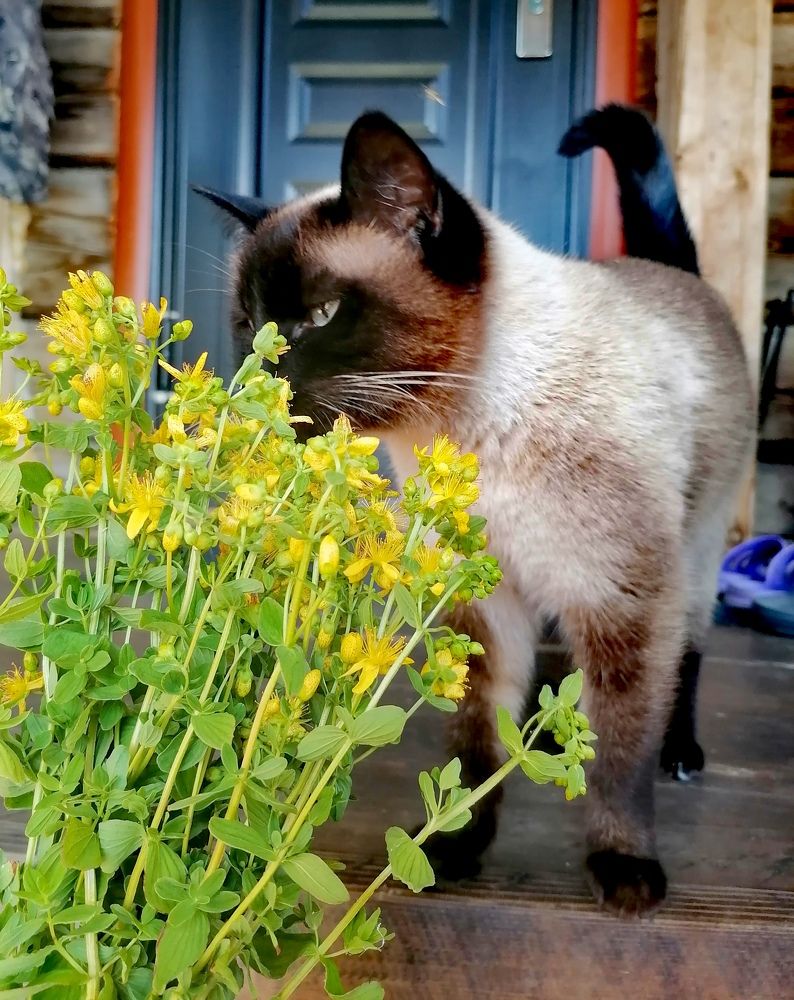 Photograph by Татьяна Бешенкина