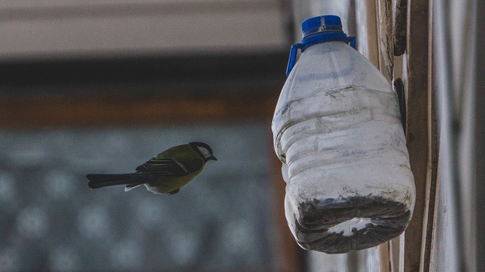 Photograph by Александр Ходакин