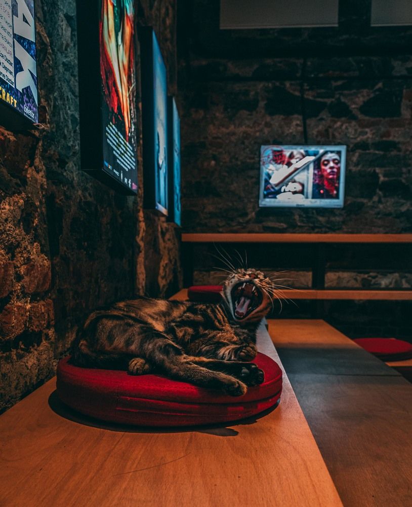 Photograph by Hakan Tunc