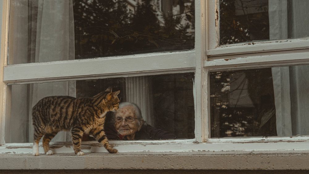 Photograph by Hakan Tunc