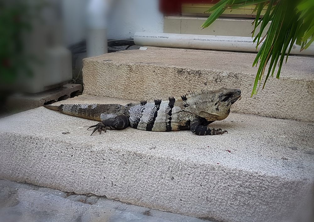 Photograph by Inna Ivanova