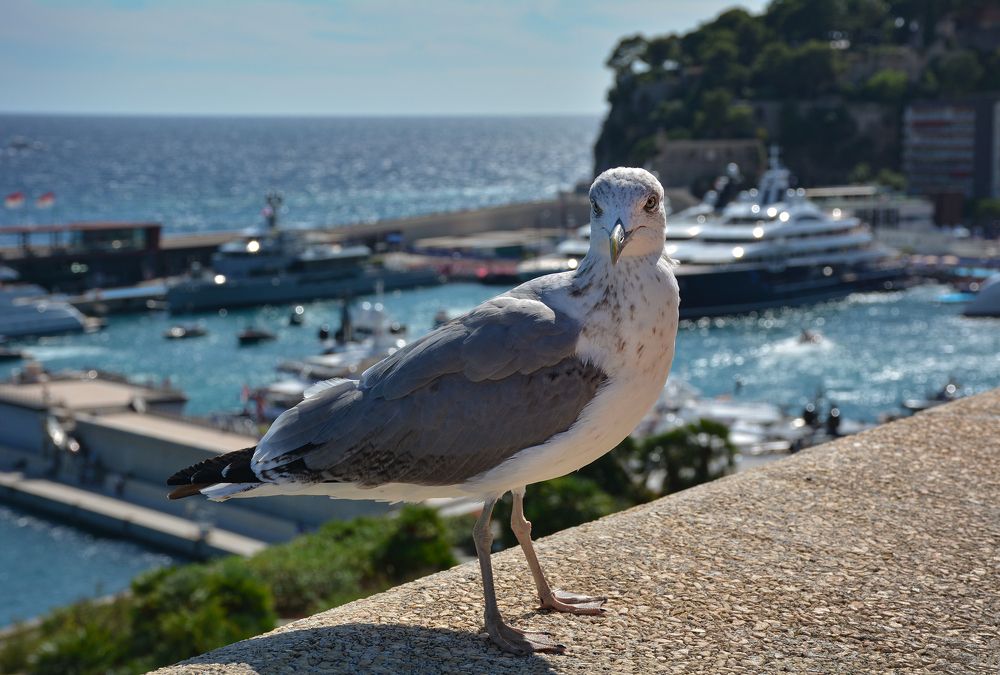 Photograph by Inna Ivanova