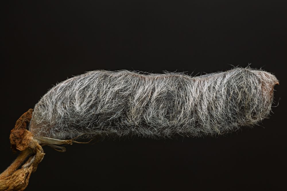 Photograph by Н Дмитрий