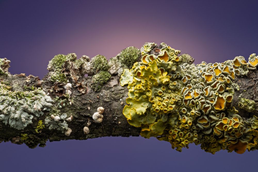 Photograph by Н Дмитрий