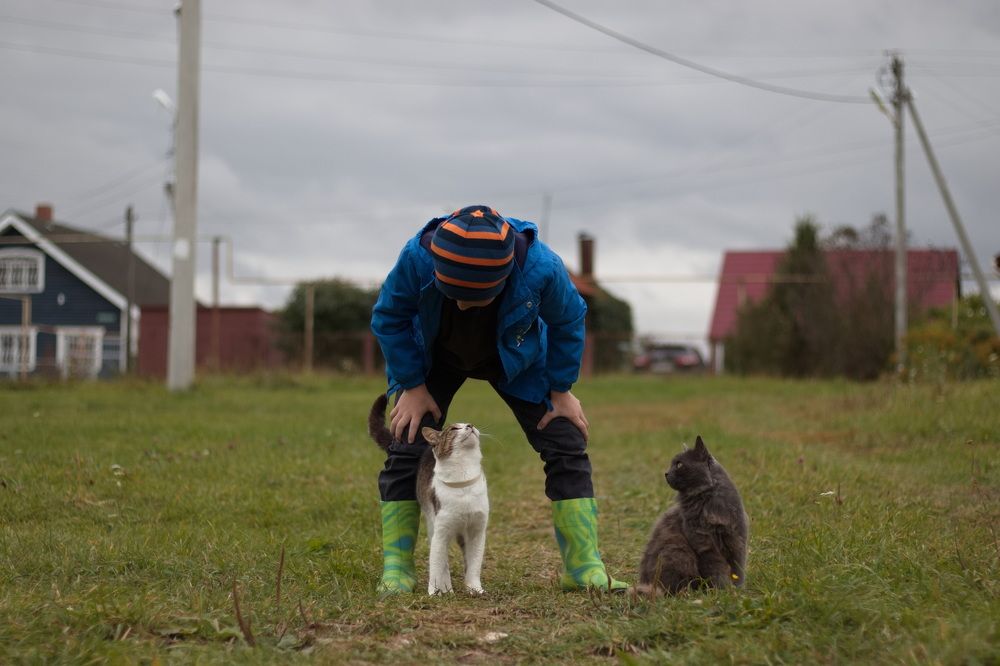 Photograph by Виктория Копытова