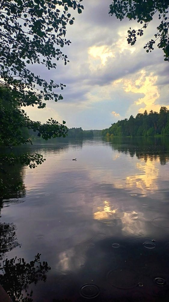 Photograph by Андрей Козаков