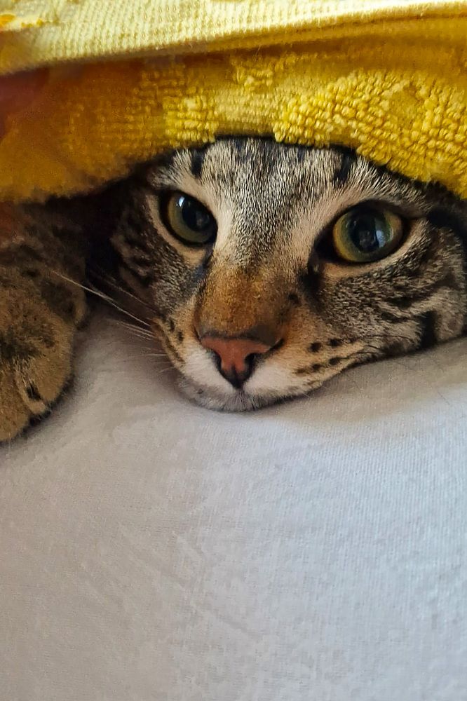 Photograph by Valentina Jovetić