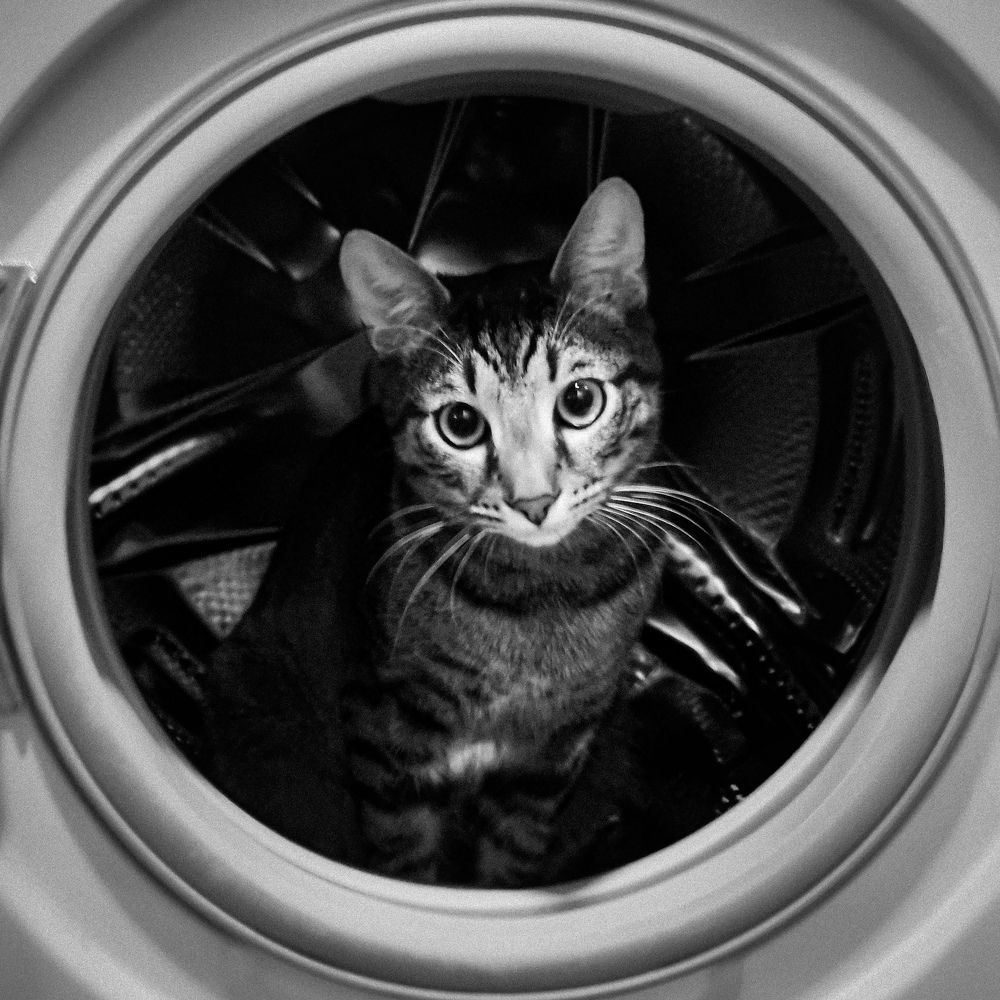 Photograph by Valentina Jovetić