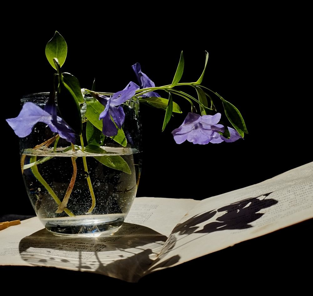 Photograph by Irina Dali