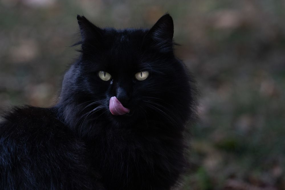 Photograph by Orhan Olmez