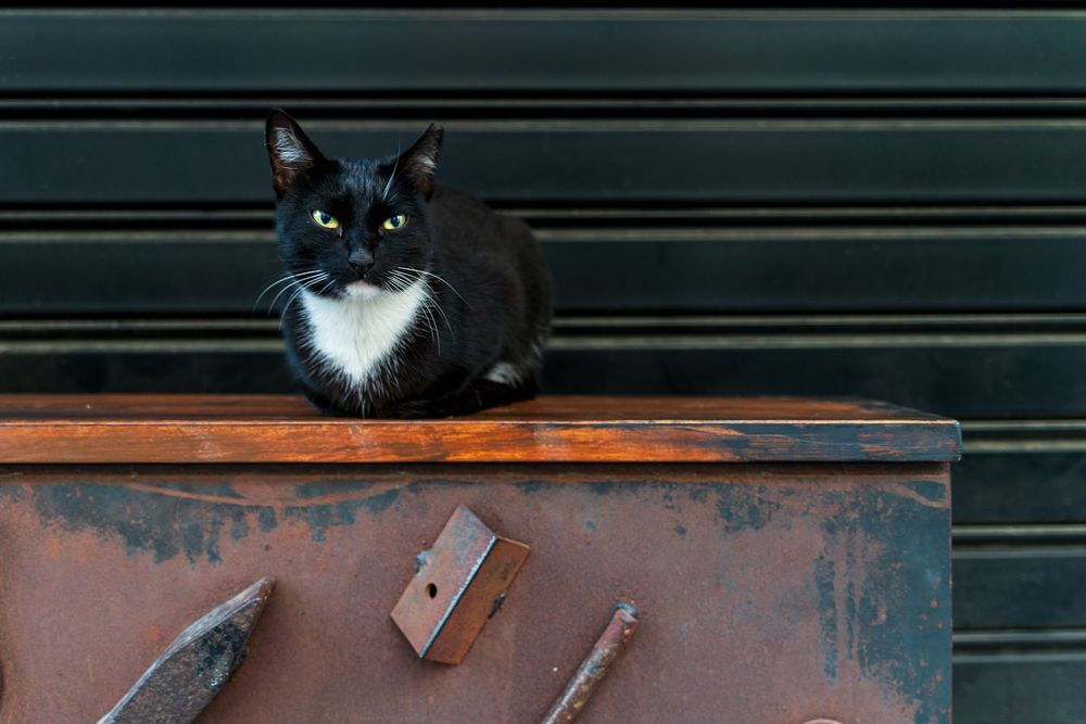 Photograph by Orhan Olmez