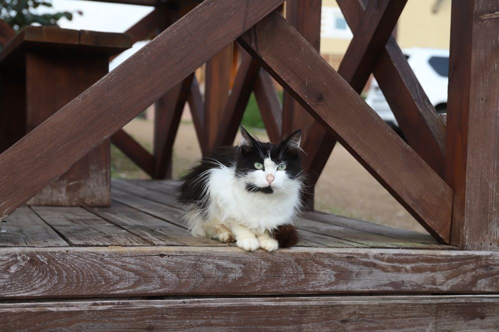 Photograph by Елена Тимченко