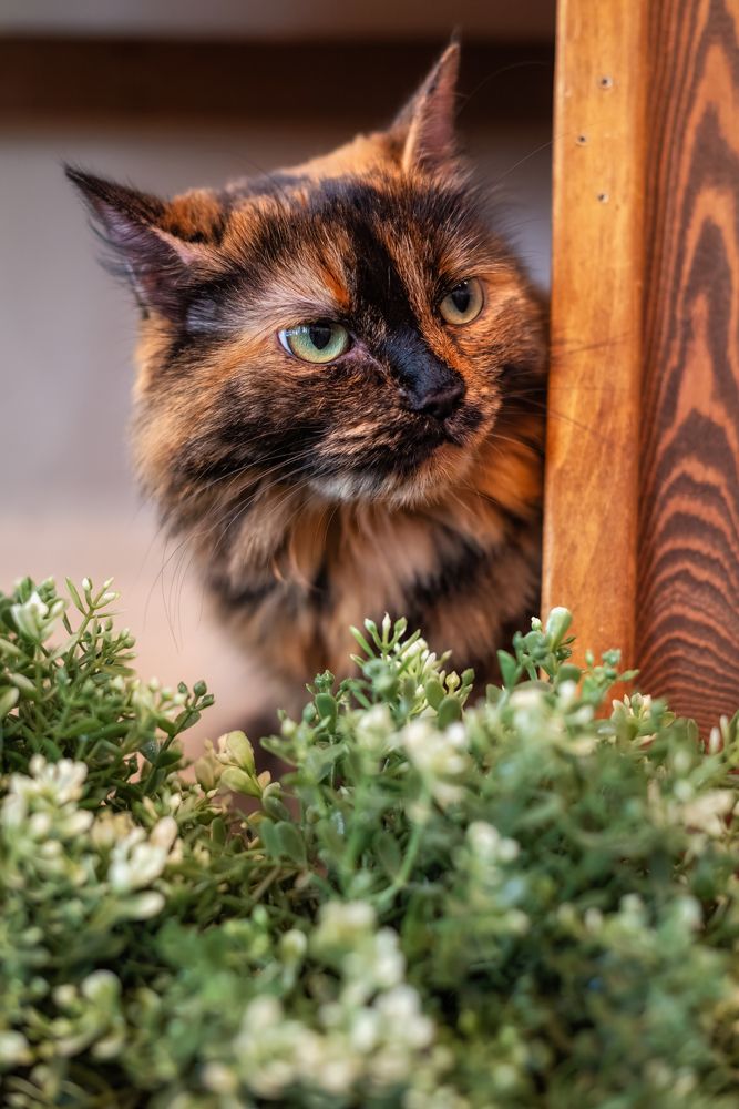 Photograph by Дудников Александр