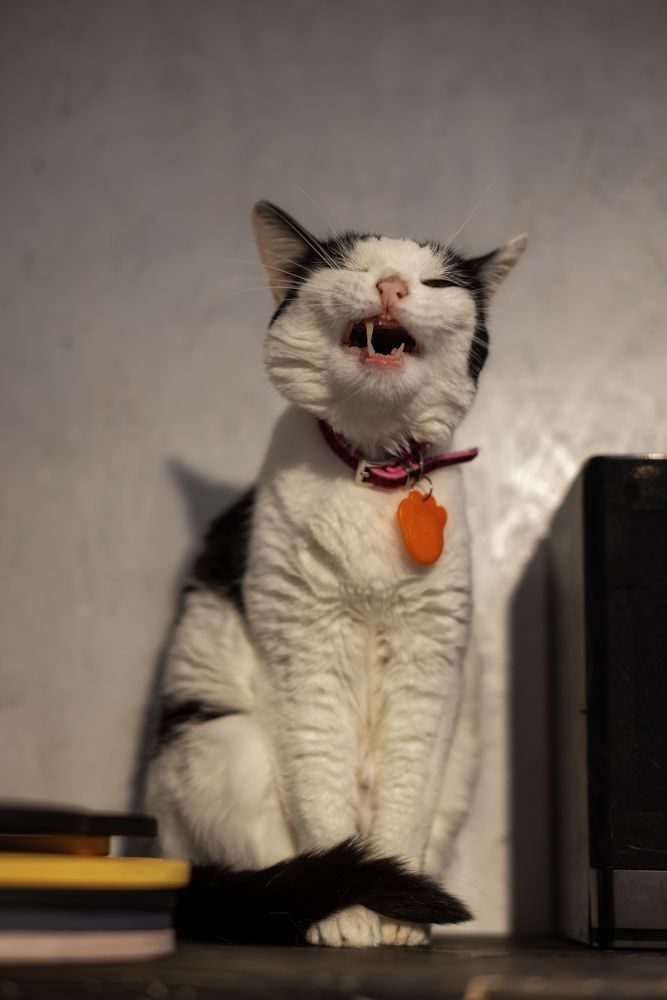 Photograph by Дудников Александр