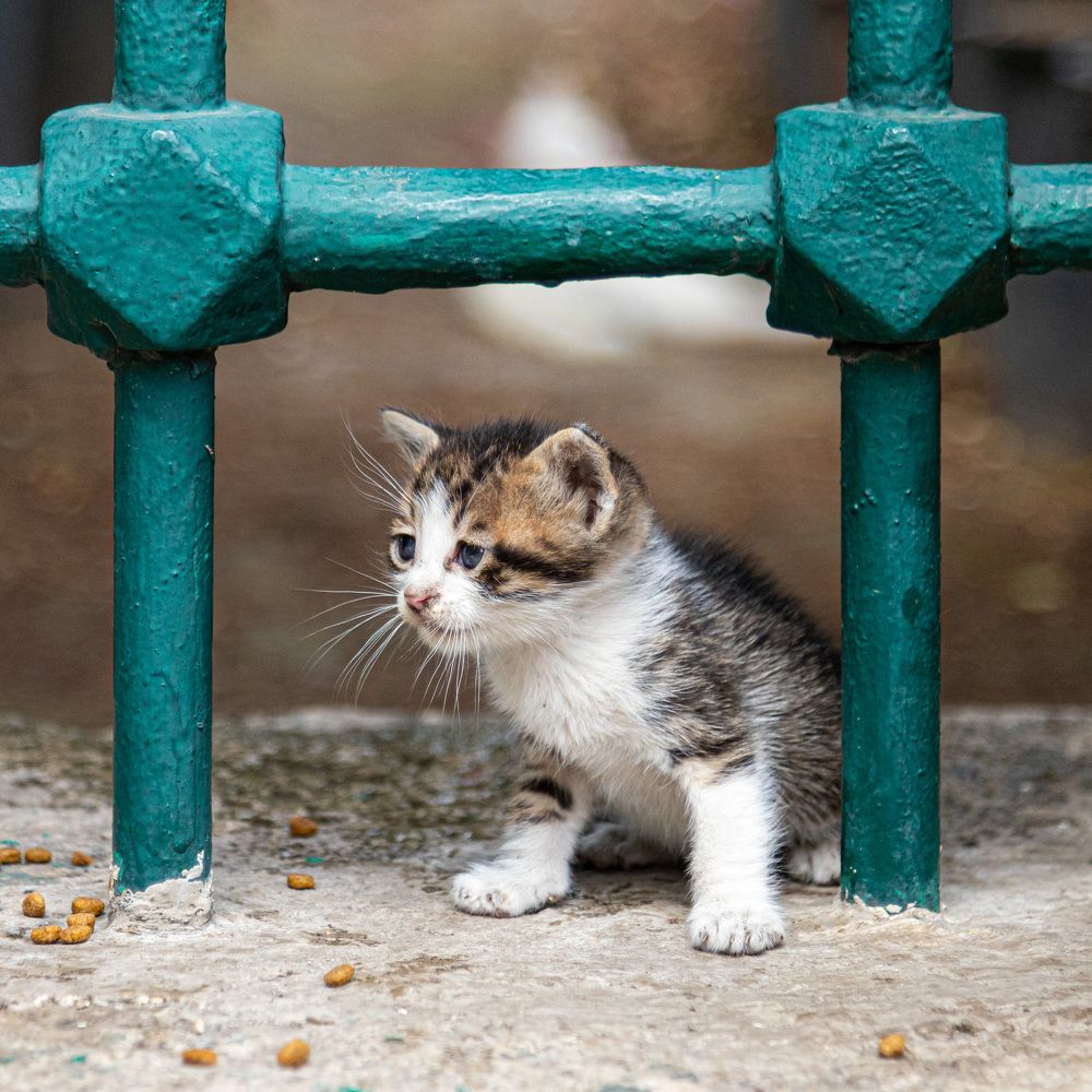 Фотография автора Minja Jovetic