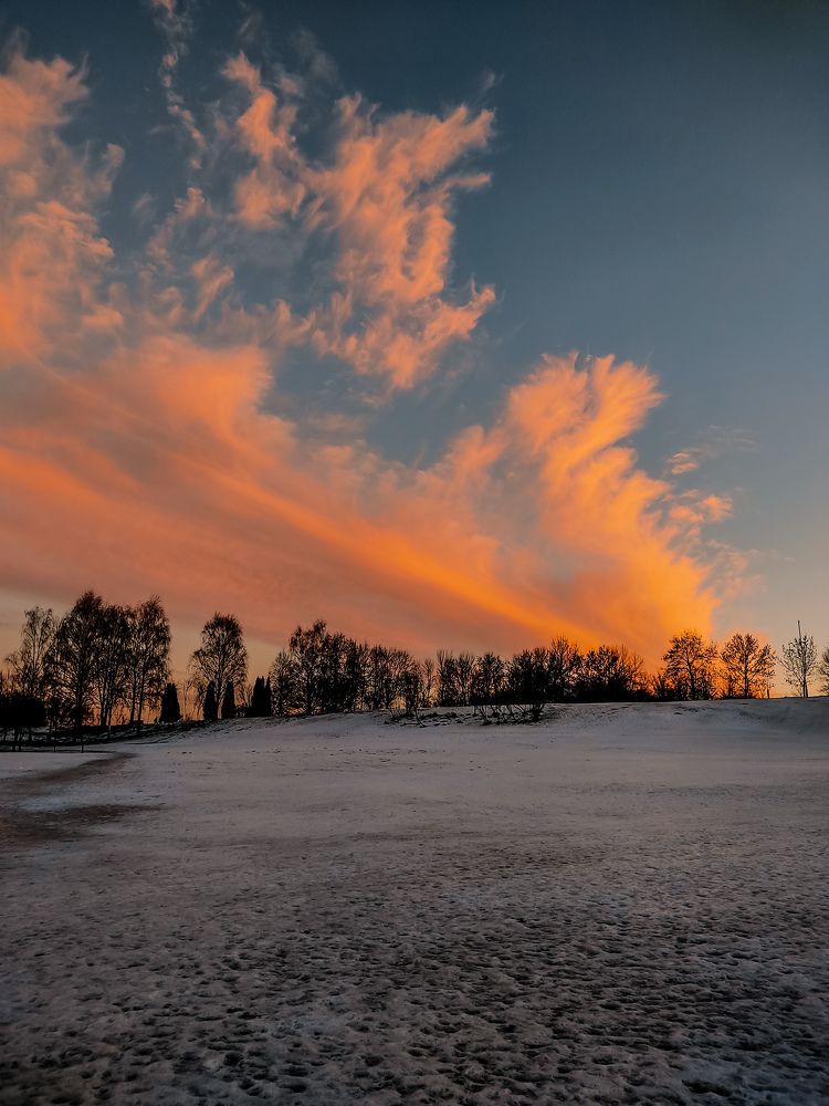 Photograph by Ольга