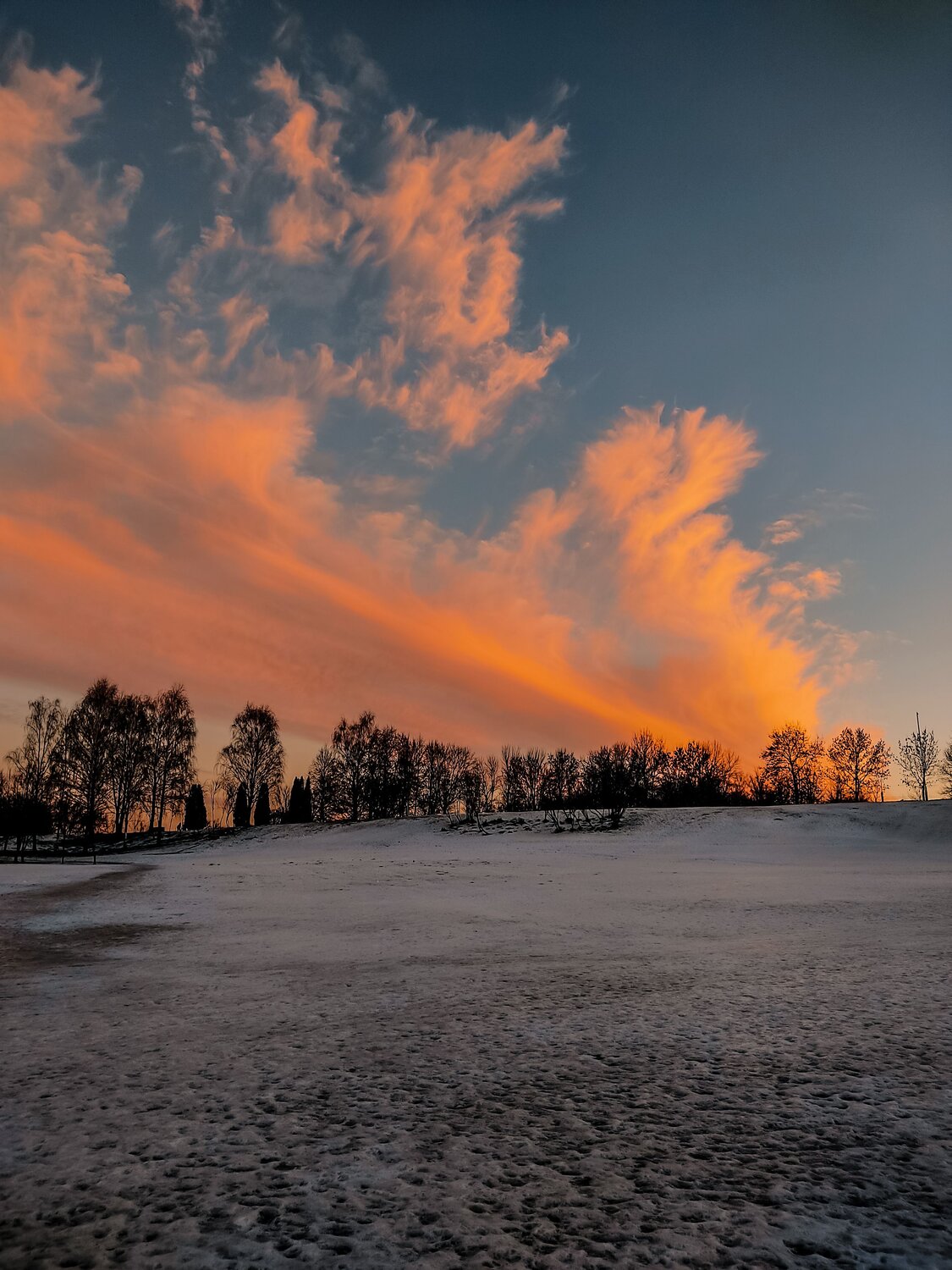 Photo #10804980